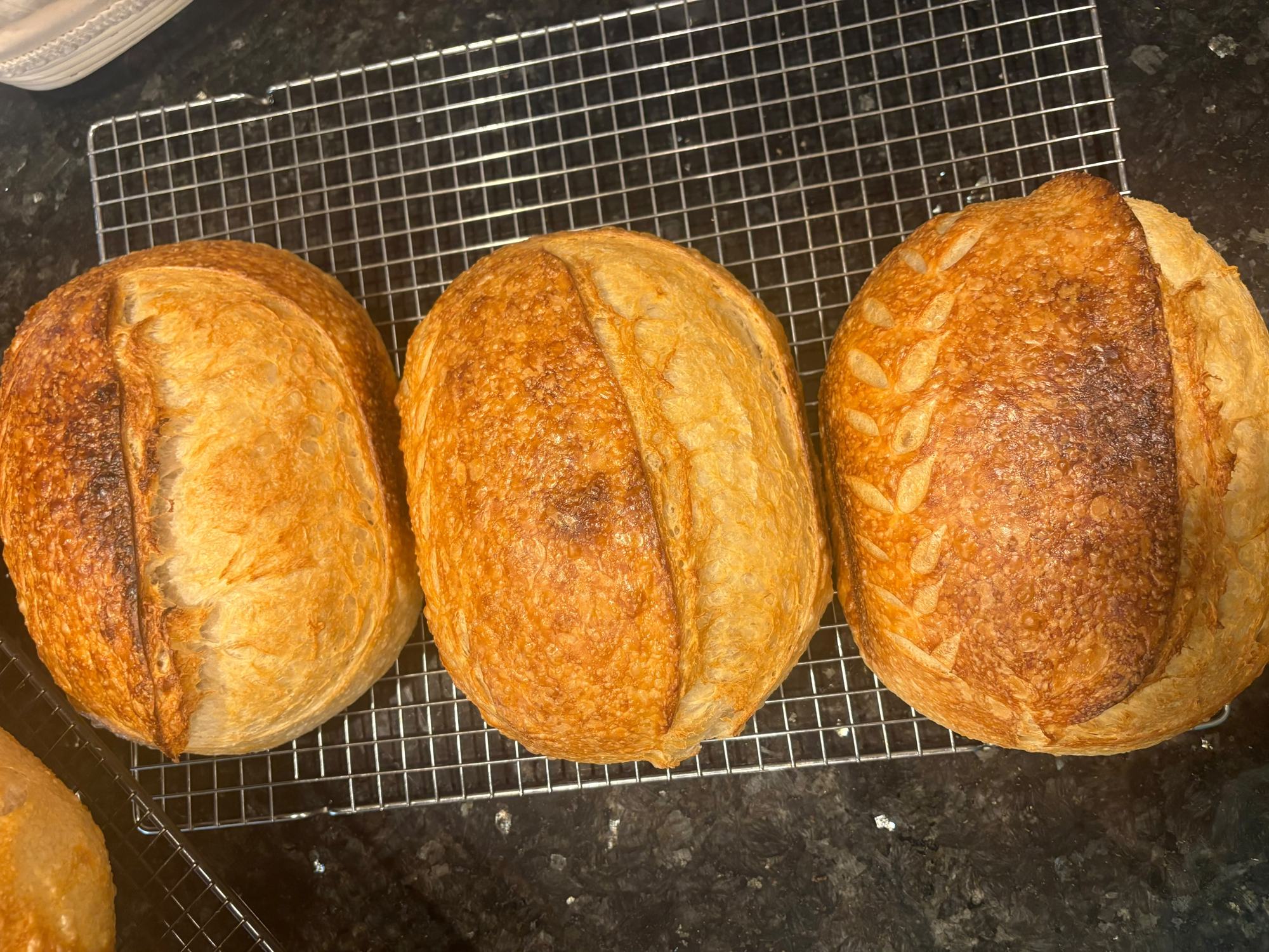 Three golden sourdough loaves fresh off the cooling rack